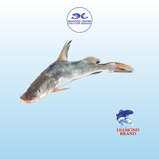 AYER 5KG UP SIZE (DIAMOND BRAND)