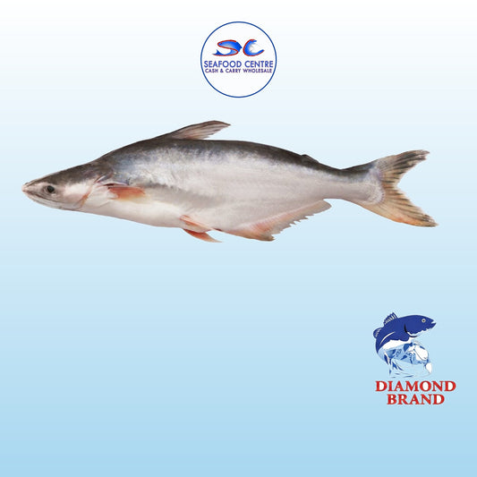 PANGASH 5KG UP